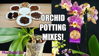 What is the best Potting Mix for your Orchid  Learn about Orchid Media Orchid Care for Beginners [upl. by Tnaryb]