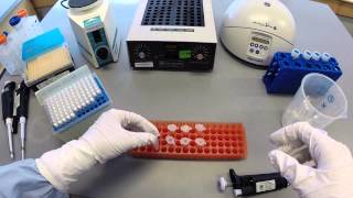 DNA Extraction Protocol  Part 1 [upl. by Launamme324]