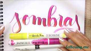 Curso de lettering  Lección 4 Sombras ✅ [upl. by Naaitsirhc38]