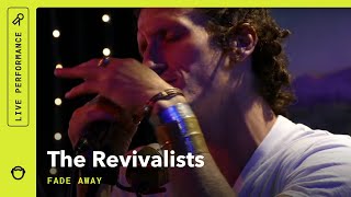 The Revivalists quotFade Awayquot Live [upl. by Ardnuas]