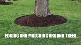 EDGING and MULCHING around TREES  How to get a CLEAN LOOK [upl. by Ariane]