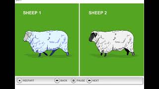 How Dolly the Sheep was cloned [upl. by Tiedeman358]