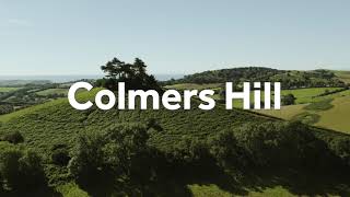 Colmers Hill [upl. by Dnarud664]