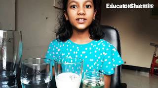 STEM Miscible and immiscible Liquids Science EducatorSharmin [upl. by Rialc]