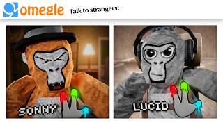 OMEGLE Trolling in Gorilla Tag [upl. by Aryamoy]