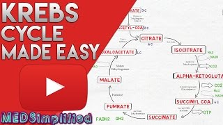 KREBS CYCLE MADE SIMPLE  TCA Cycle Carbohydrate Metabolism Made Easy [upl. by Niroht477]