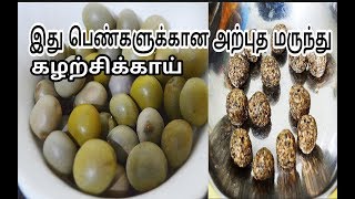 இது பெண்களுக்கான அற்புதமான மருந்துகழற்சிக்காய்Health Tips for Women in TamilPhysic Nut [upl. by Halland]