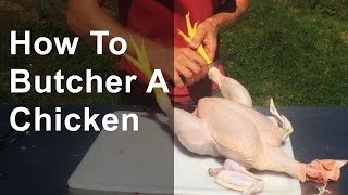 How to Butcher a Chicken Step by Step [upl. by Noxaj]