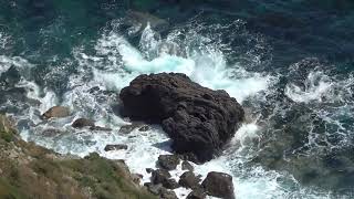 Kapiti Island New Zealand [upl. by Longfellow]