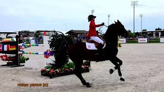 Horse show jumping falls compilation [upl. by Morrell]