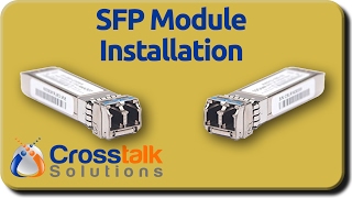 SFP Module Installation [upl. by Miahc]