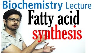 Fatty acid synthesis [upl. by Eiznekam]