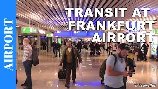 TRANSIT WALK AT FRANKFURT Airport FRA Terminal 1  Connection Flight Transfer Arriving amp Departing [upl. by Wester]