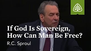 RC Sproul If God Is Sovereign How Can Man Be Free [upl. by Oliana473]