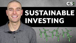 Sustainable Investing ESG SRI [upl. by Aynatahs]