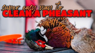 Easiest Way to Clean a Pheasant [upl. by Apilef]