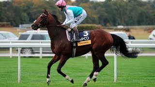 Frankel  The Wonder Horse All 14 Wins [upl. by Atinauj]