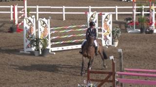 Showjumping  Chepstow International Children On Horses [upl. by Gratianna]