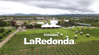 Viñedos La Redonda TDV [upl. by Yadrahs48]