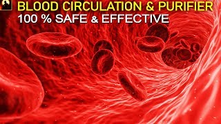 90 Mins Blood Circulation Purification amp Cleansing Subliminal Frequency  Pure Binaural Beats SG12 [upl. by Sassan]