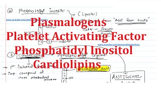 20 Plasmalogens Platelet Activating Factor Phosphatidyl Inositol Lipositol Cardiolipins [upl. by Luba]