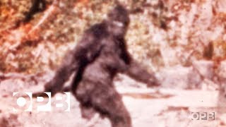 The Film That Made Bigfoot A Star  OPB [upl. by Good]