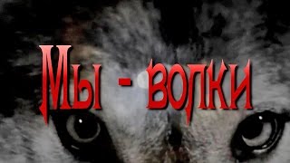 Вячеслав МЕДЯНИК Мы  волки  Nstудия [upl. by Aitas]