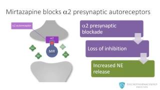 Mirtazapine From Mechanism to Clinical Applications [upl. by Peterson]