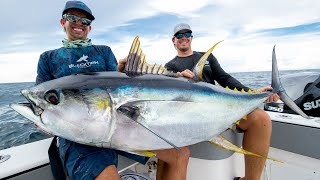 Monster Yellowfin Tuna [upl. by Salahi47]