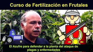 El azufre para defender a los cultivos del ataque de plagas y enfermedades Curso de Fertilización [upl. by Ynaffat]