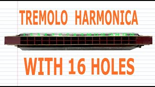 How to Play a Tremolo Harmonica with 16 Holes [upl. by Ydnac8]