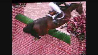 Puissance WIHS  Horse jumps 7 foot wall [upl. by Arad]