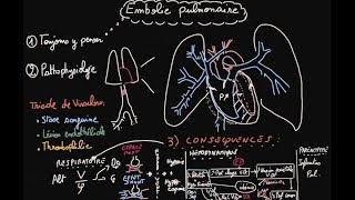 Embolie pulmonaire  Pathophysiologie  Partie 1  Docteur Synapse [upl. by Alleirbag]