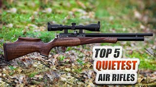 Top 5 Quietest Accurate Air Rifles  Madman Review [upl. by Harshman]