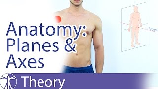 Anatomical Planes amp Axes Explained [upl. by Atteyram]