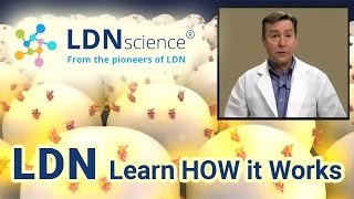 LDNscience® Presents  How LDN Low Dose Naltrexone Works [upl. by Ebner]