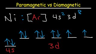 Paramagnetic vs Diamagnetic  Paired vs Unpaired Electrons  Electron Configuration [upl. by Terrell]