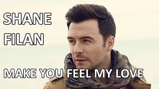 Shane Filan  Make You Feel My Love Lyrics HD [upl. by Anema262]