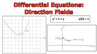 Differential Equations Direction Fields [upl. by Bartolomeo]