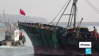 La pesca industrial y su preocupante afectación a los ecosistemas marinos [upl. by Siramad474]