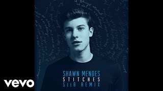 Shawn Mendes  Stitches SeeB Remix  Official Audio [upl. by Hazeefah]